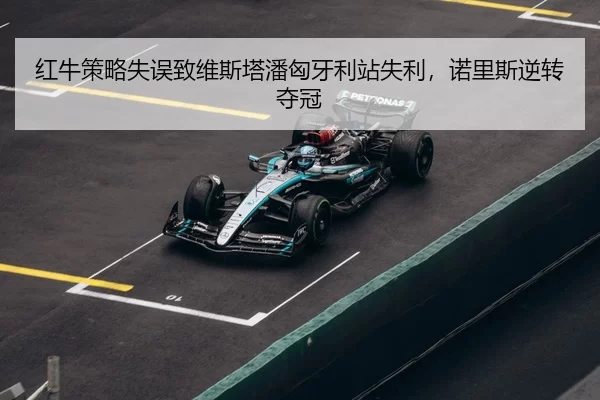hong-niu-ce-lve-shi-wu-zhi-wei-si-ta-pan-xiong-ya-li-zhan-shi-li-nuo-li-si-ni-zhuan-duo-guan-3-109.jpg
