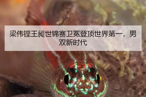 梁伟铿王昶世锦赛卫冕登顶世界第一，男双新时代